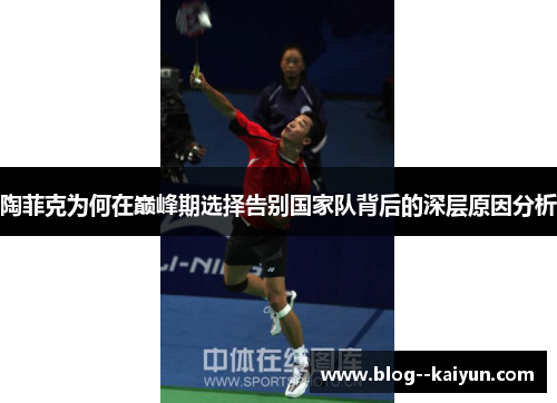 陶菲克为何在巅峰期选择告别国家队背后的深层原因分析