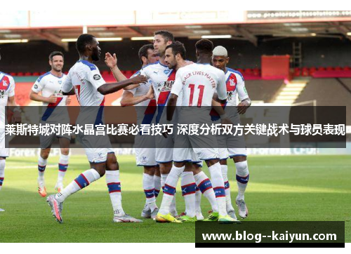 莱斯特城对阵水晶宫比赛必看技巧 深度分析双方关键战术与球员表现